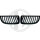 Satz passend f&uuml;r grille r/l  BMW E90 Baujahr 05-08